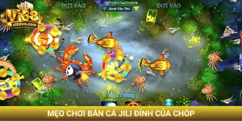 Mẹo chơi bắn cá JILI đỉnh của chóp