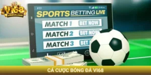 cá cược bóng đá Vi68