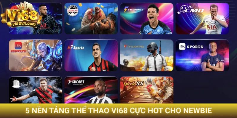 5 nền tảng thể thao Vi68 cực hot cho newbie