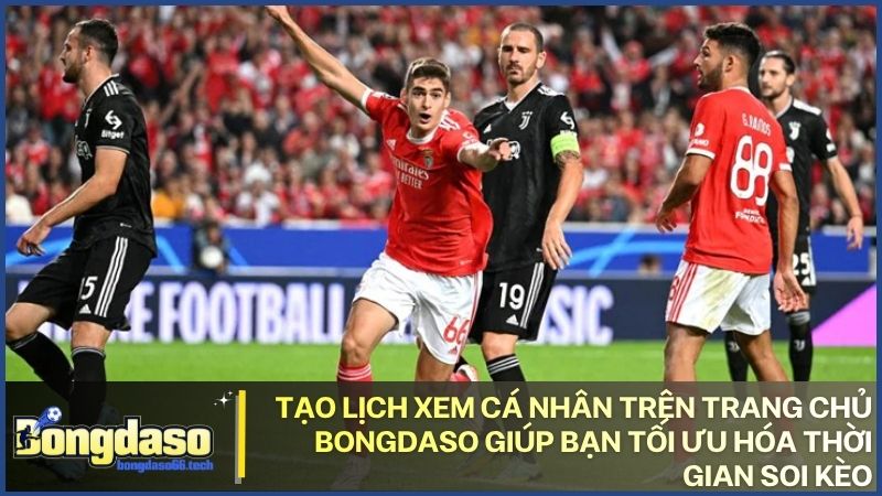 Kết hợp tỷ lệ kèo bongdaso vào lịch cá nhân để nâng cao tỷ lệ chiến thắng trận đấu